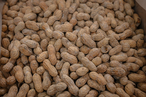 In Shell Peanuts