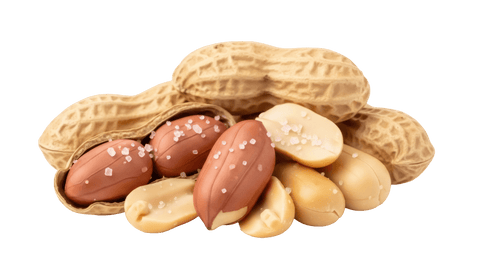 Peanuts in shells with salt on a black background